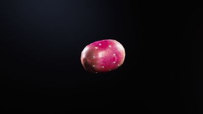 Prickly Pear in ARC Raiders